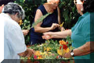 BluAktiHerbst2001_06_w.jpg (32065 Byte)