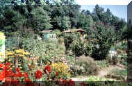 BluAktiHerbst2001_w.jpg (81819 Byte)