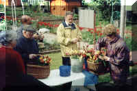 Blumen_04_01_3_web.jpg (146246 Byte)