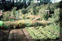 Wegmatten1a.jpg (91964 Byte)