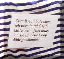 fasnacht06.jpg (35560 Byte)