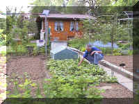 mwerren_net.jpg (56031 Byte)