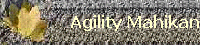 Agility Mahikan