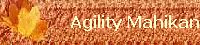 Agility Mahikan