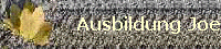 Ausbildung Joe
