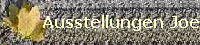 Ausstellungen Joe