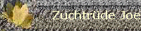 Zuchtrde Joe