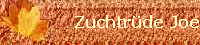 Zuchtr�de Joe